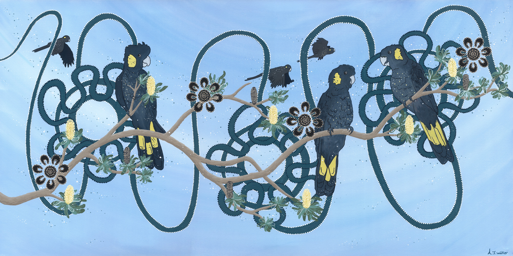 imhip-youth-artwork-aw-journeyoftheblackcockatoo-1800x900-web_res