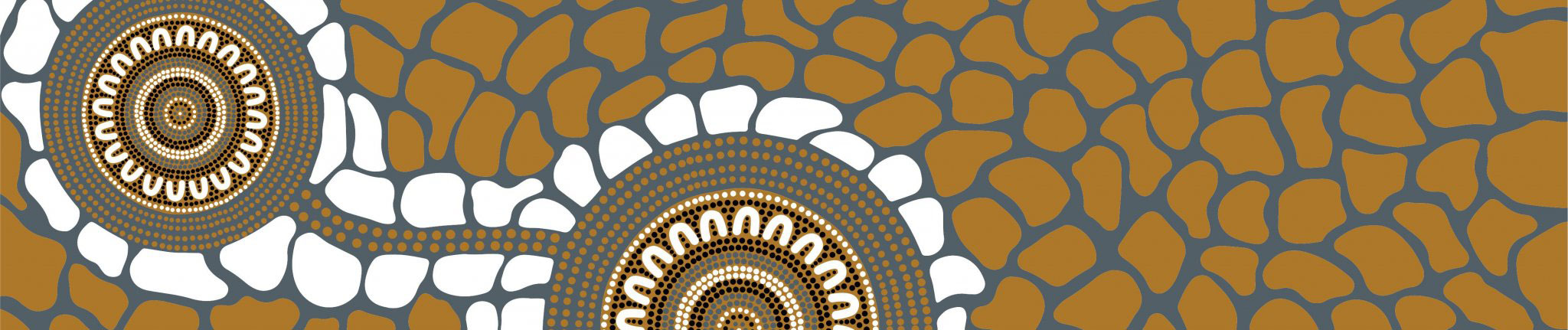Queensland Urban Indigenous Mental Health Survey